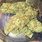 Buy Trusted Cannabis Strains in Australia