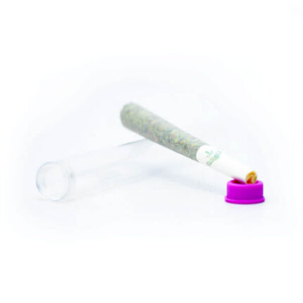 Indica Pre-Rolled joint | Herb Approach | Online Dispensary Au