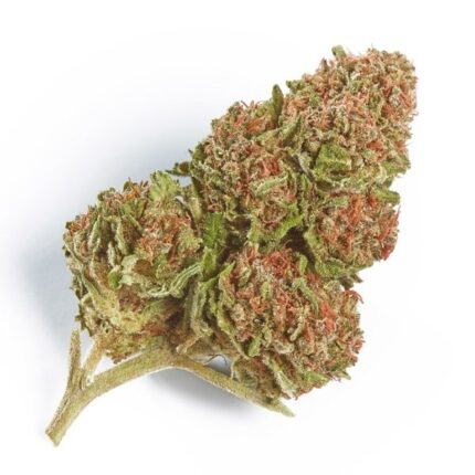 Buy Northern Lights (28g)