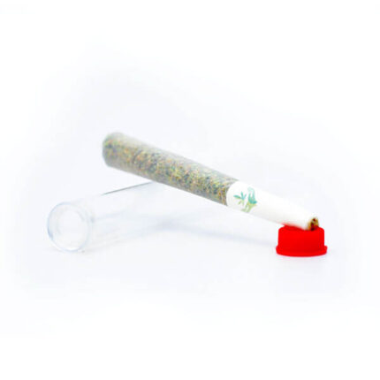 Sativa Pre-Rolled joint | Online Dispensary Australia