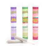 Wonders Pre-Rolled Joints | Buy Pre-Rolls Australia